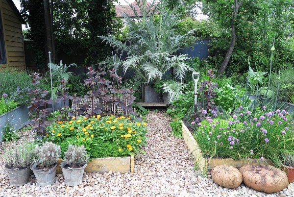 Use bins and raised beds to grow veg