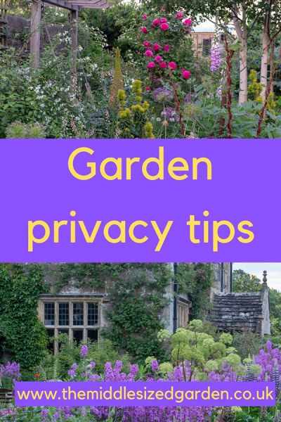 3 top garden privacy tips - how to make your garden look and feel more private