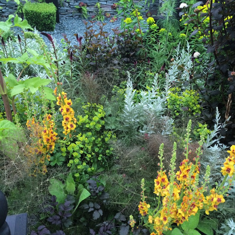 Show garden at Chelsea