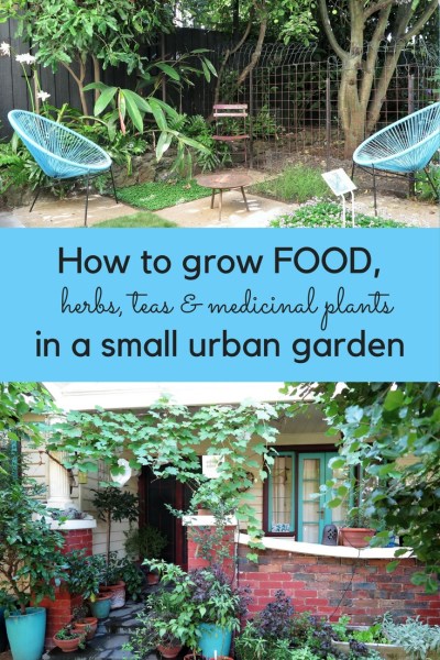 How to grow food in a small urban garden