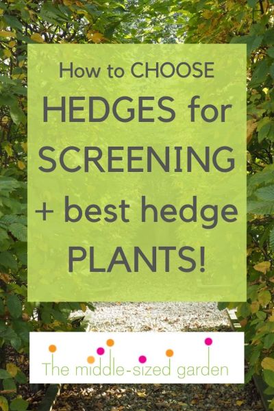 How to choose hedges for privacy