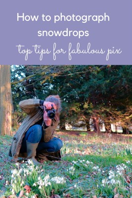 Top tips for beautiful pix