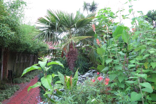 Th exotic garden at the Salutation in Sandwich.