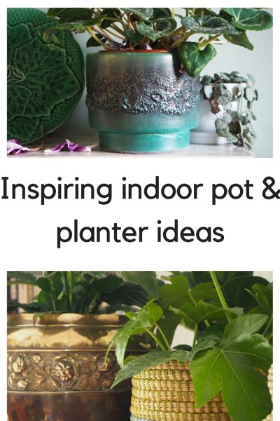 Inspiring indoor pot & planter ideas