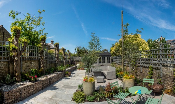 Panorama of a contemporary town garden