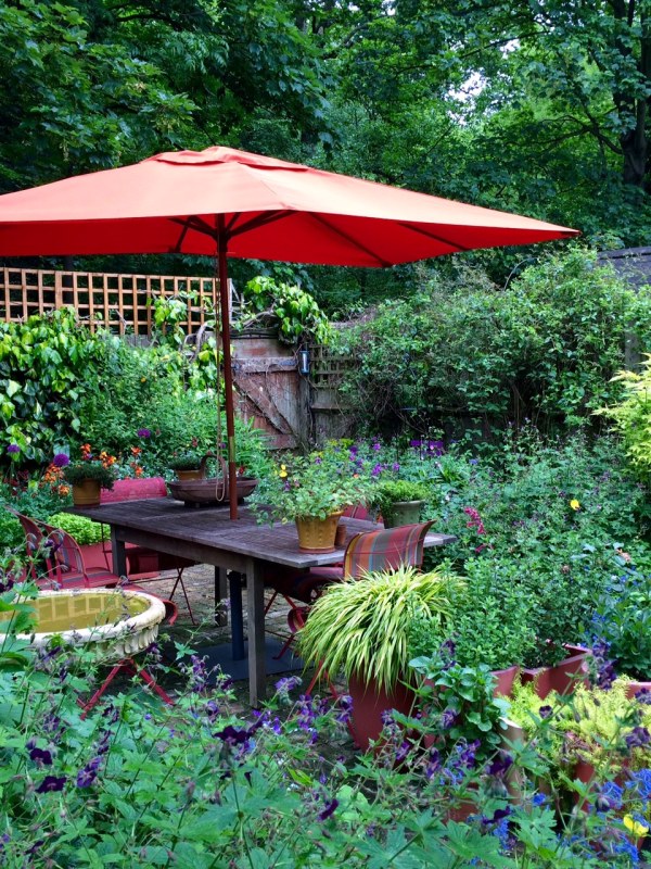 A romantic London cottage garden