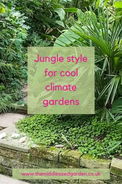 jungle style for cool climate gardens