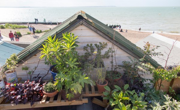 Roof garden pots by the sea