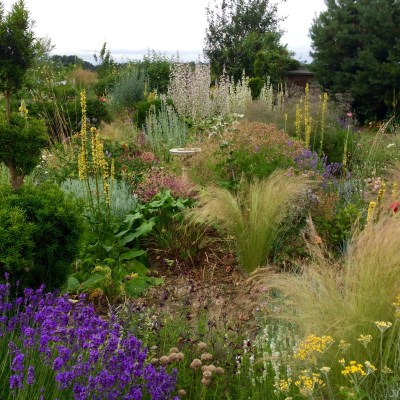 Grasses, evergreens and perennials are all good for time-poor gardeners