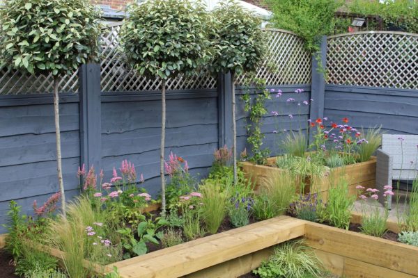 Choose perennials and grasses for low maintenance gardens