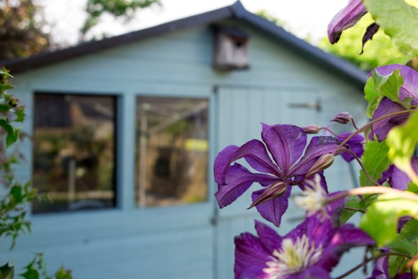 Duck egg blue is a good colour for sheds