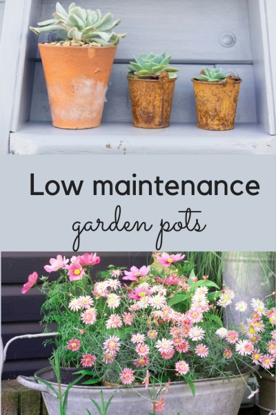 Ideas for low maintenance garden pots and planters. 