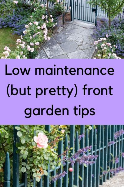 Low maintenance front garden tips