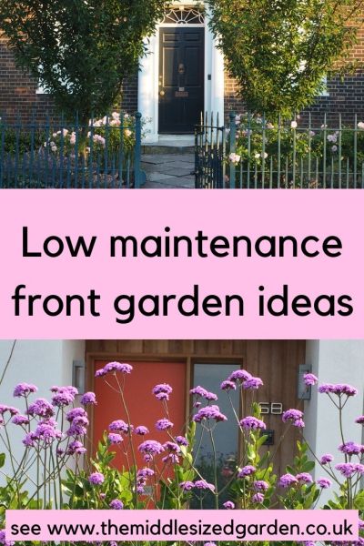 Low maintenance front garden tips