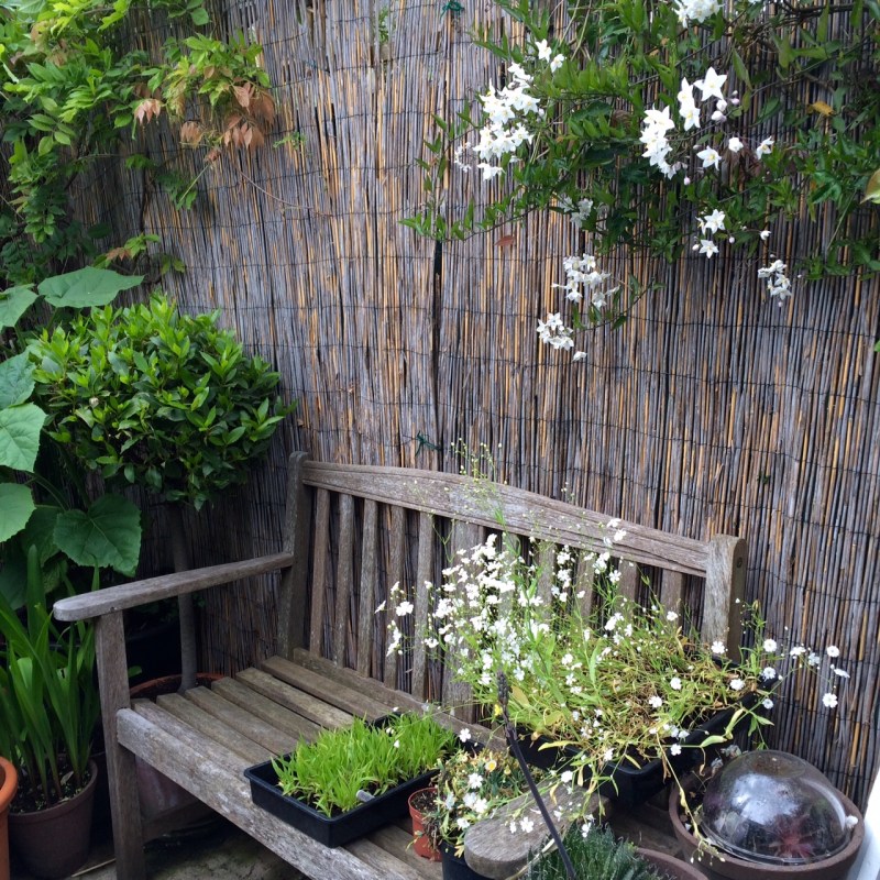 Private terrace at the end of a long, thin garden