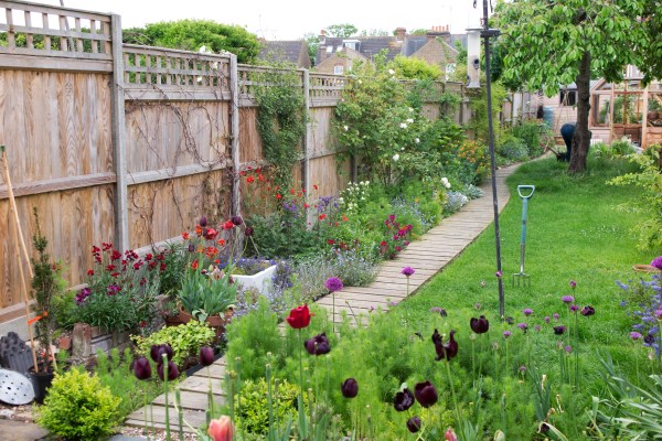 Decking path in a narrow garden