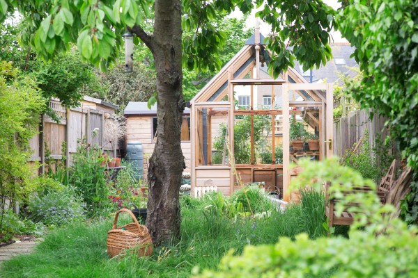 Greenhouse in a long thin garden