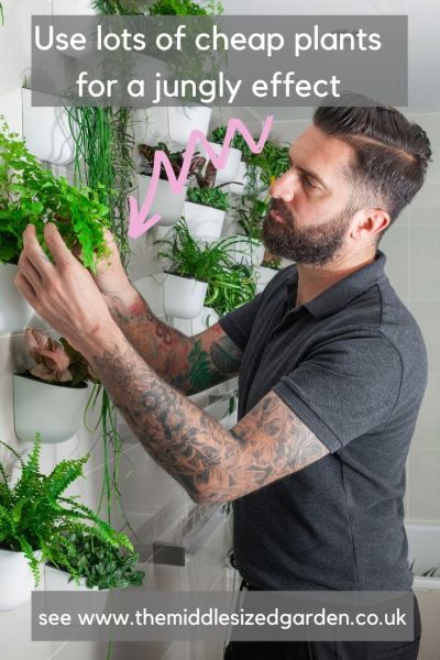 Use lots of inexpensive houseplants