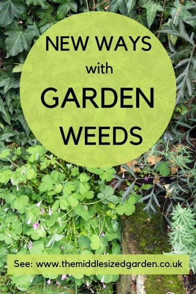 Garden weeds - a new approach