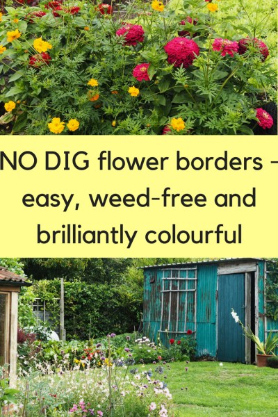 No dig flower borders are easy, weed-free and brilliantly colourful