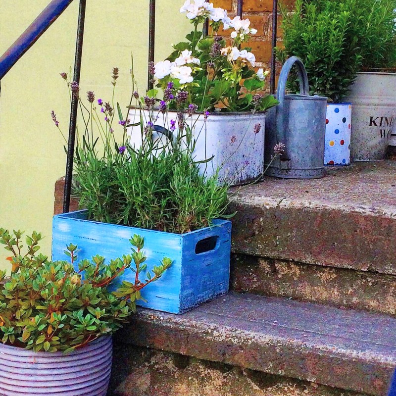 Upcycle crates and buckets for container planting.