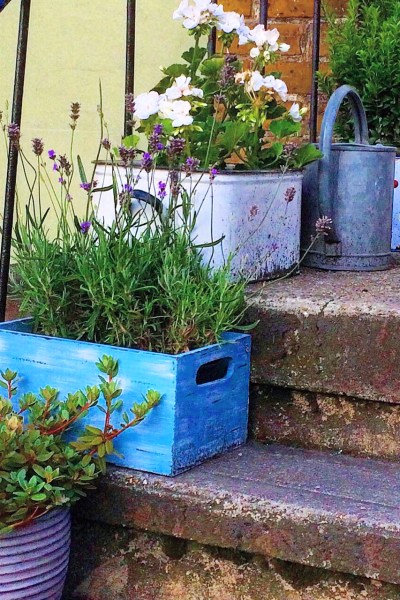 Contrast shapes and theme colours when arranging pots and tubs.