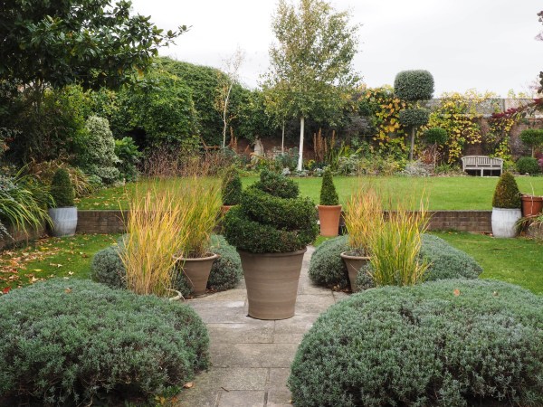 Autumn garden colour in pots