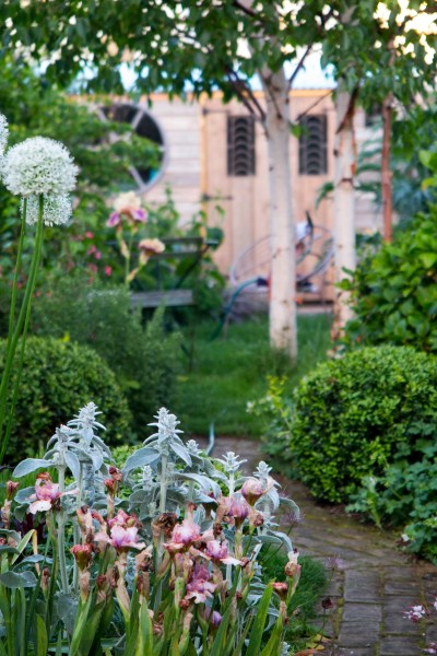 Where to put the vegetable garden?