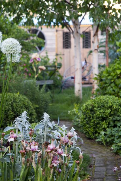 Ideas for painting and decorating your shed. Lots of colour inspiration! #shed #shedideas