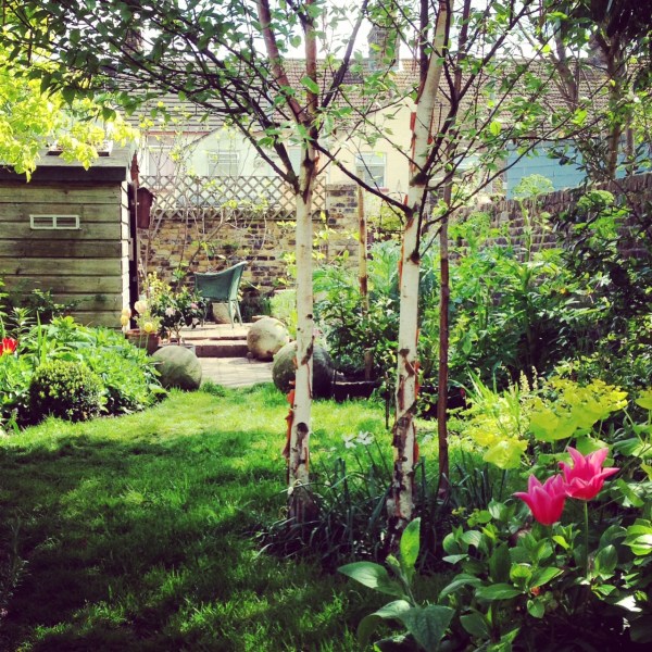 Shed in a long, thin garden