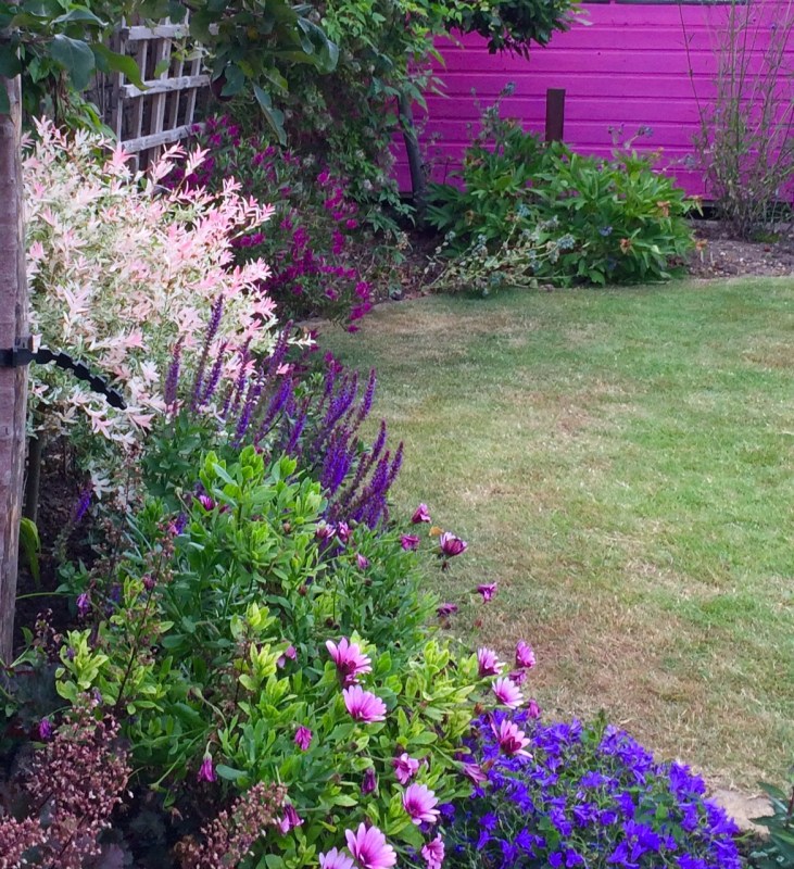 If you have a small-ish garden, then remember that your shed colour will affect your planting