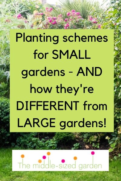 Small garden planting schemes and ideas