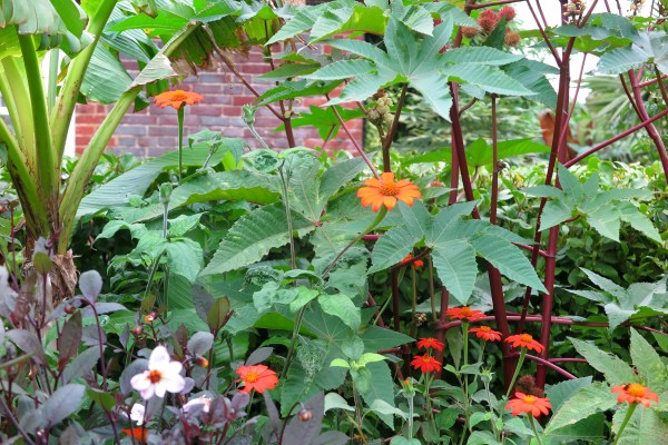 Jungly planting at the Salutation in Sandwich