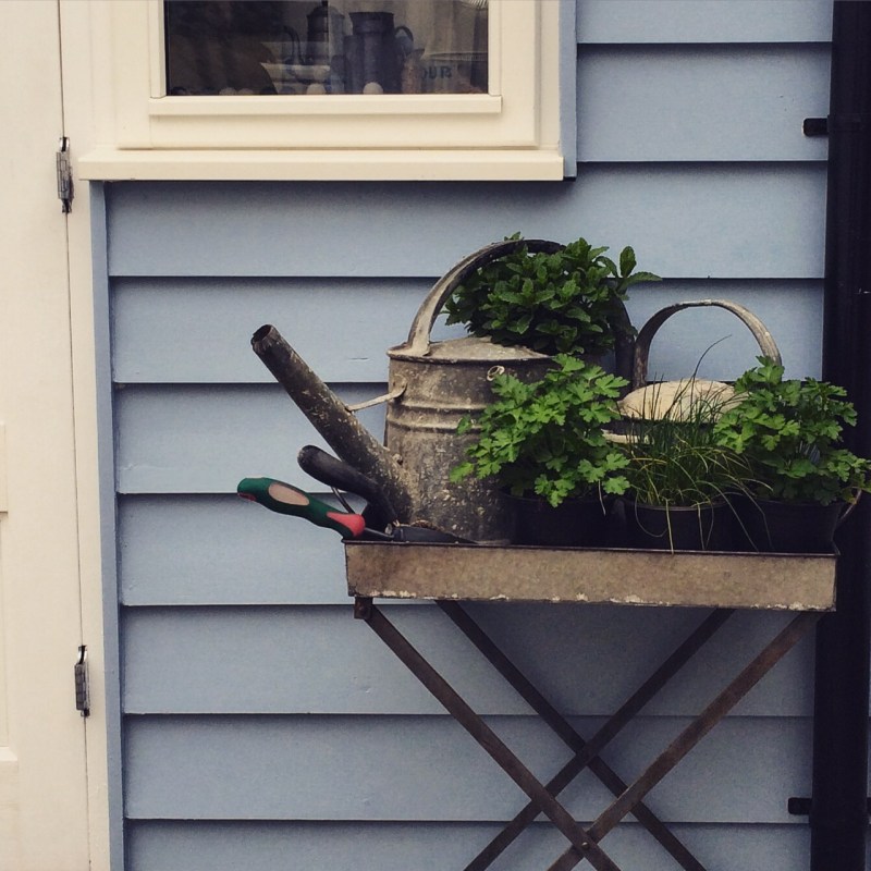 Galvanised vintage pots