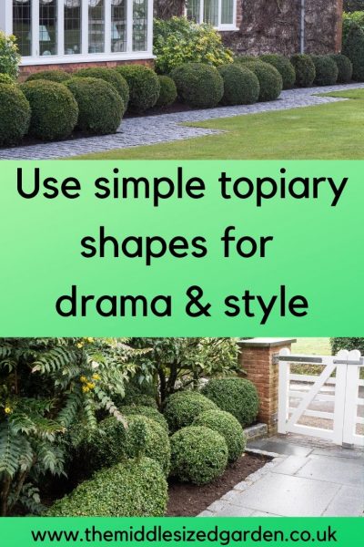 Easy topiary for dramatic effects