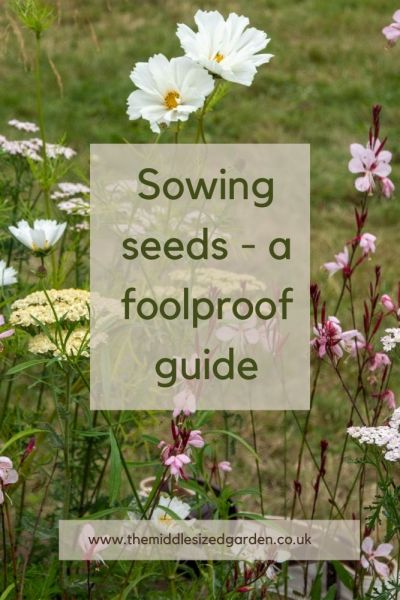 Grow flowers yourself fromseed