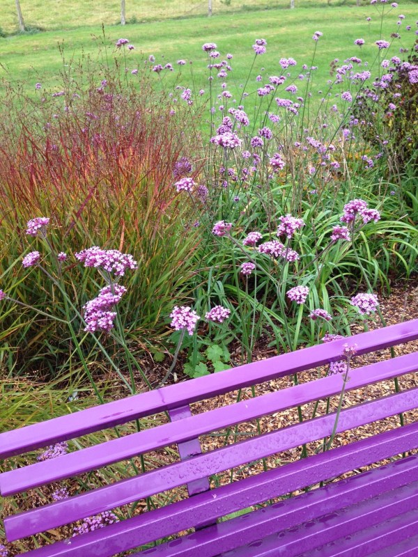 Sussex Prairie Gardens