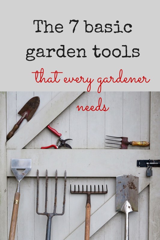 The 7 essential garden tools that every gardener needs