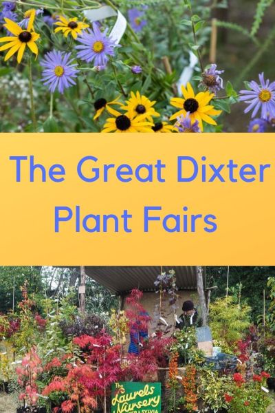 Great Dixter Plant Fairs