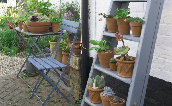 Upcycled ladder display for pots