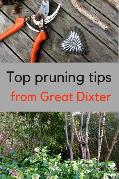 Top pruning tips from Great Dixter