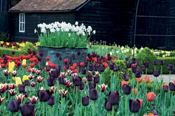 Spring planting at Ulting Wick