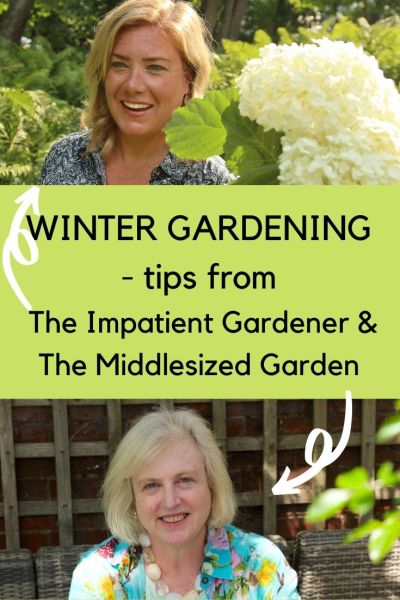 The Impatient Gardener and The Middlesized Garden