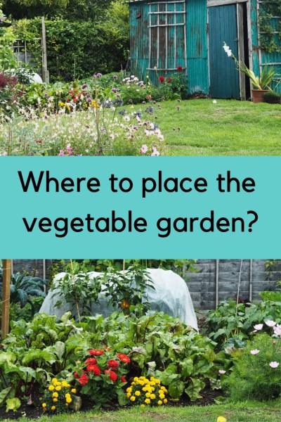 Where to place the vegetable garden? #gardening #smallgarden