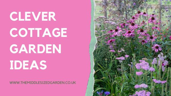 Clever cottage garden ideas in video