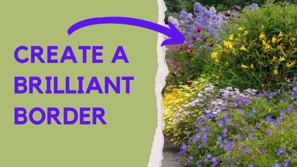 Brilliant border inspiration video