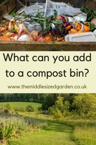 What to add to a compost bin