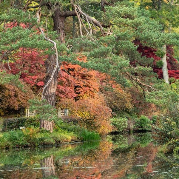 Autumn colour at Leonardslee Lakes & Gardens