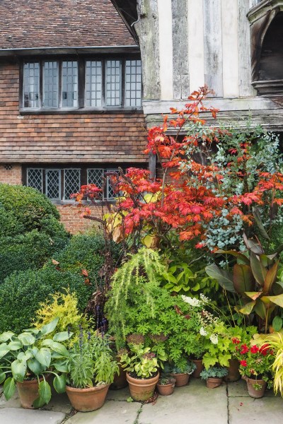 Great Dixter House & Gardens during the autumn plant fair