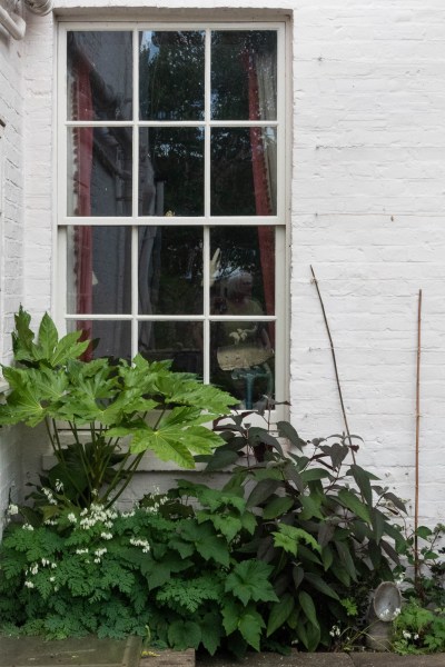 Contrast leaf shapes and colours in a small garden